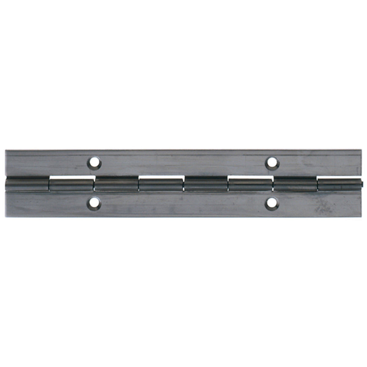 CONTINUOUS HINGE 1834x39 ST/ST by HAFELE UK LTD