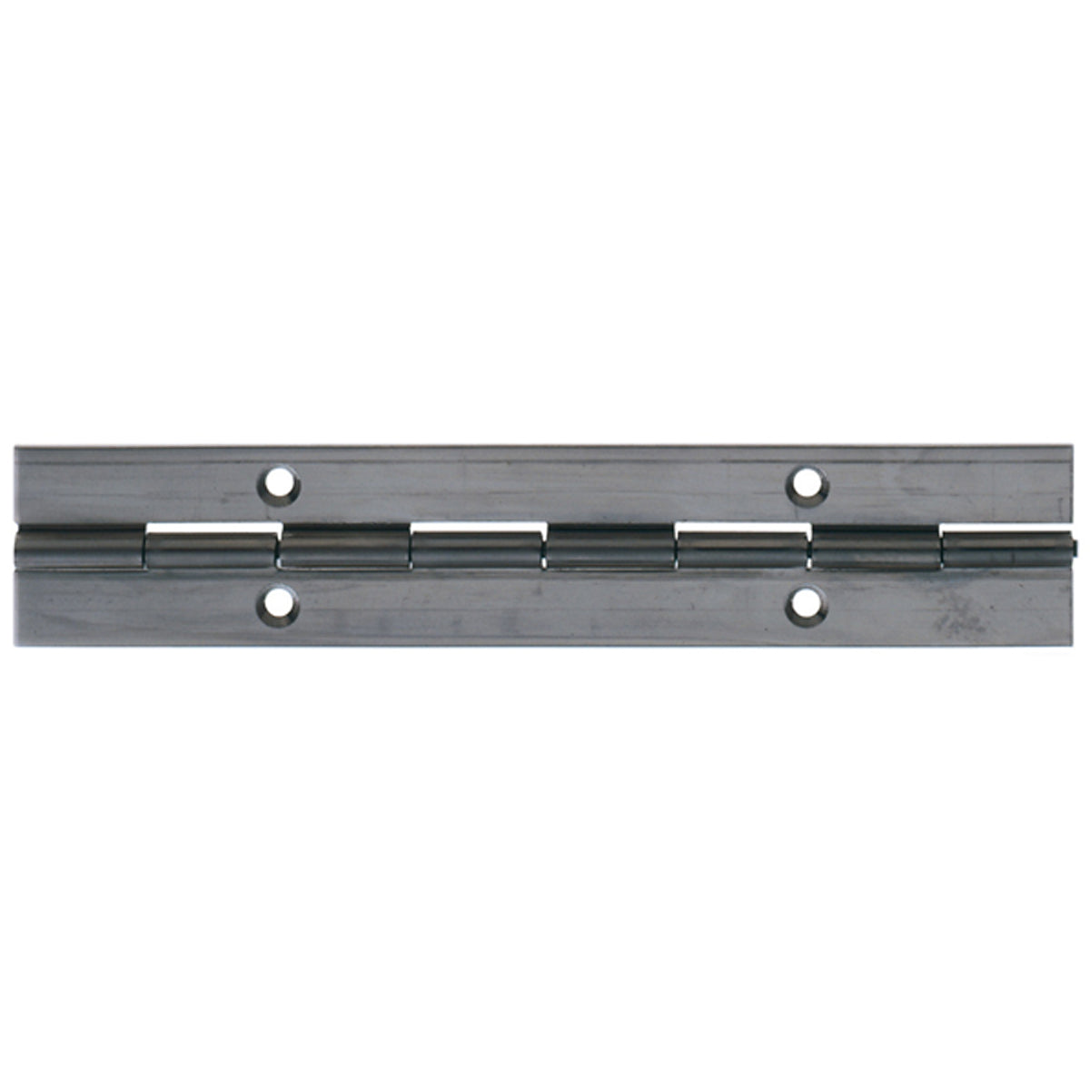 CONTINUOUS HINGE 1834x32 ST/POL by HAFELE UK LTD