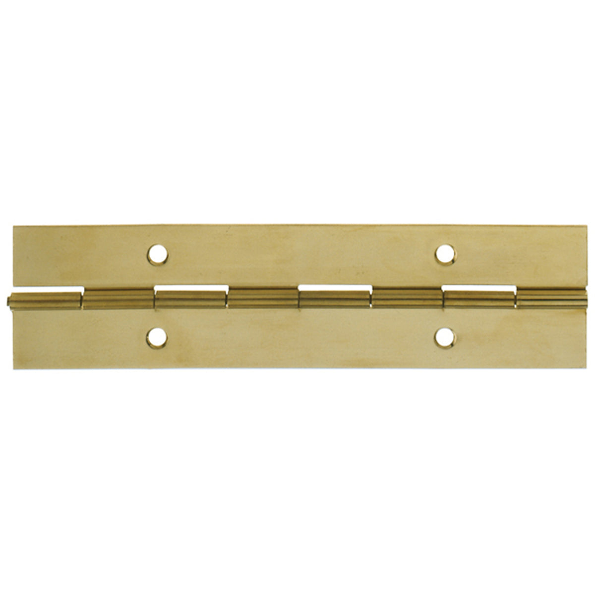 CONTINUOUS HINGE 1834x38 BRS/POL