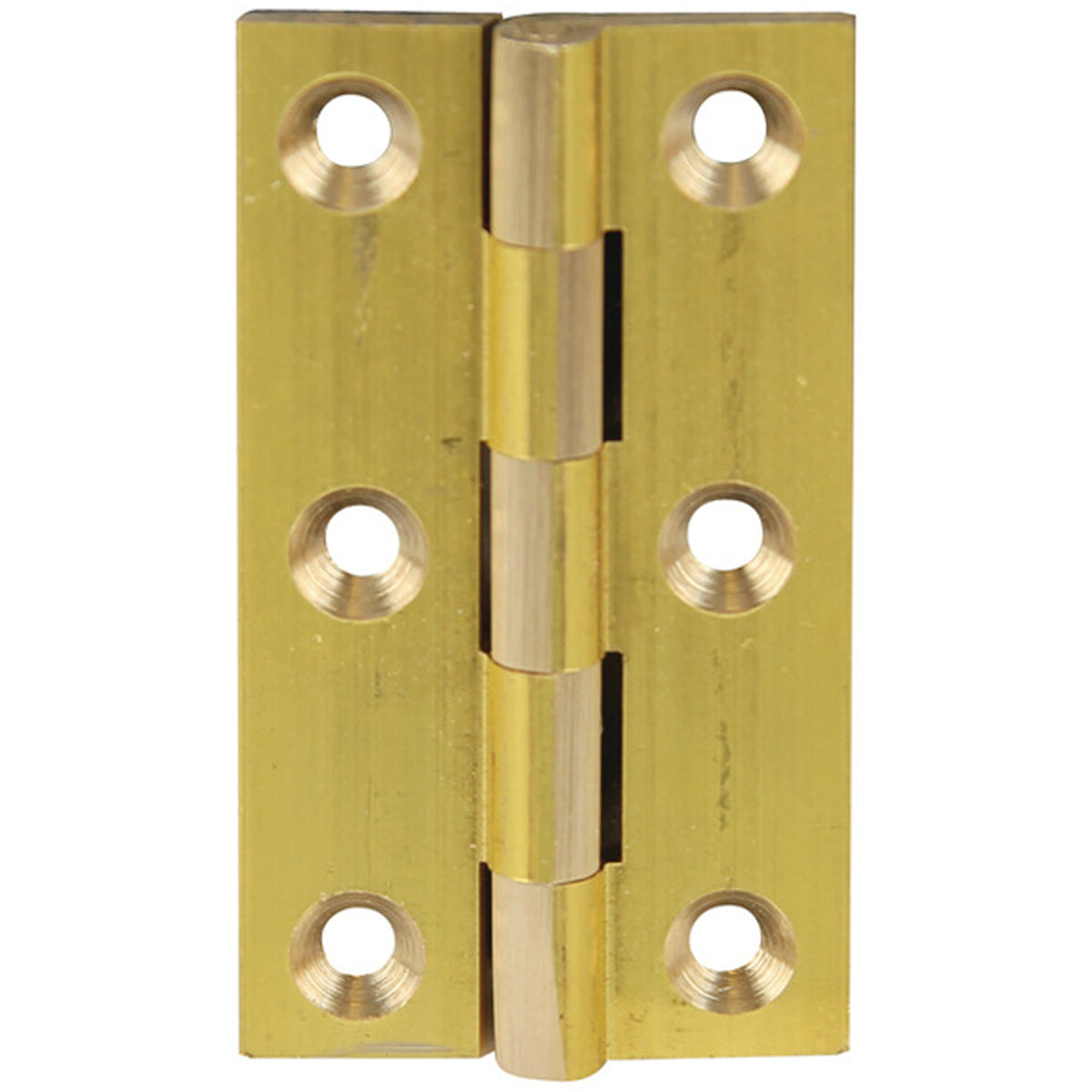HINGE 204 BROAD 51x29x2 BRS/SELF