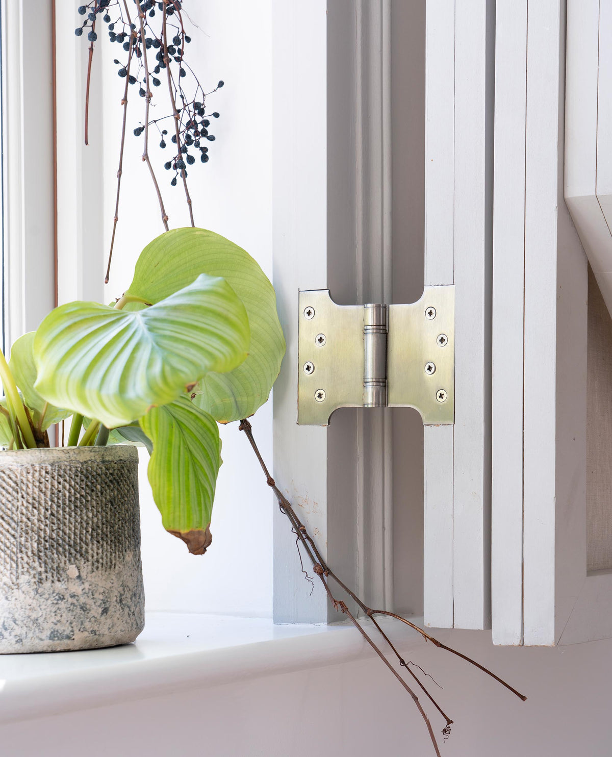 PARLIAMENT HINGE 128x102x55 SSS - 49567 by MARCHES (ANVIL) ARCHITECTURAL HARDWARE