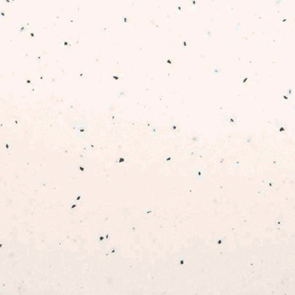 MAIA SOLID WTOP 1800x600x28 VAN