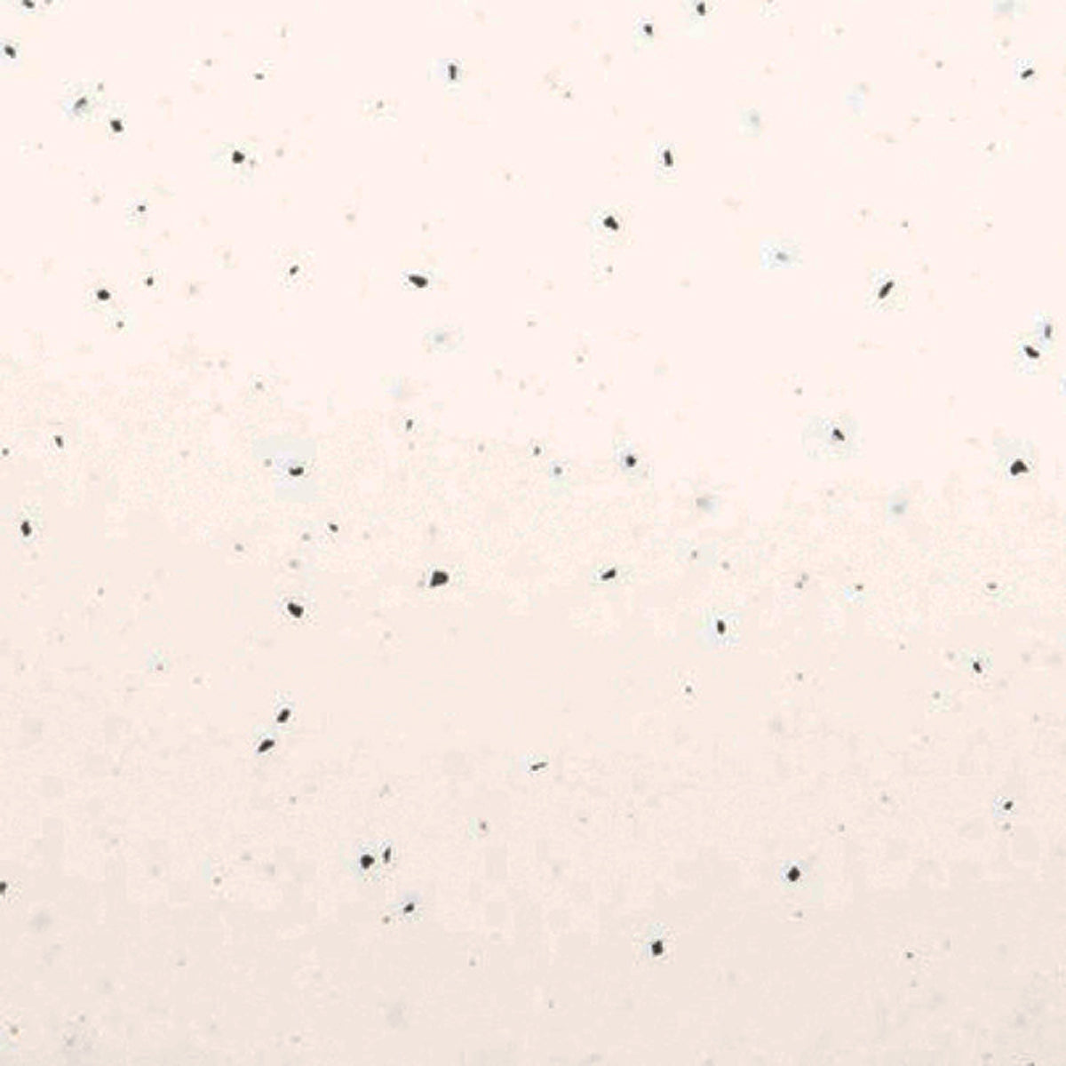 MAIA SINK WTOP SNG 1800x600x28 VAN