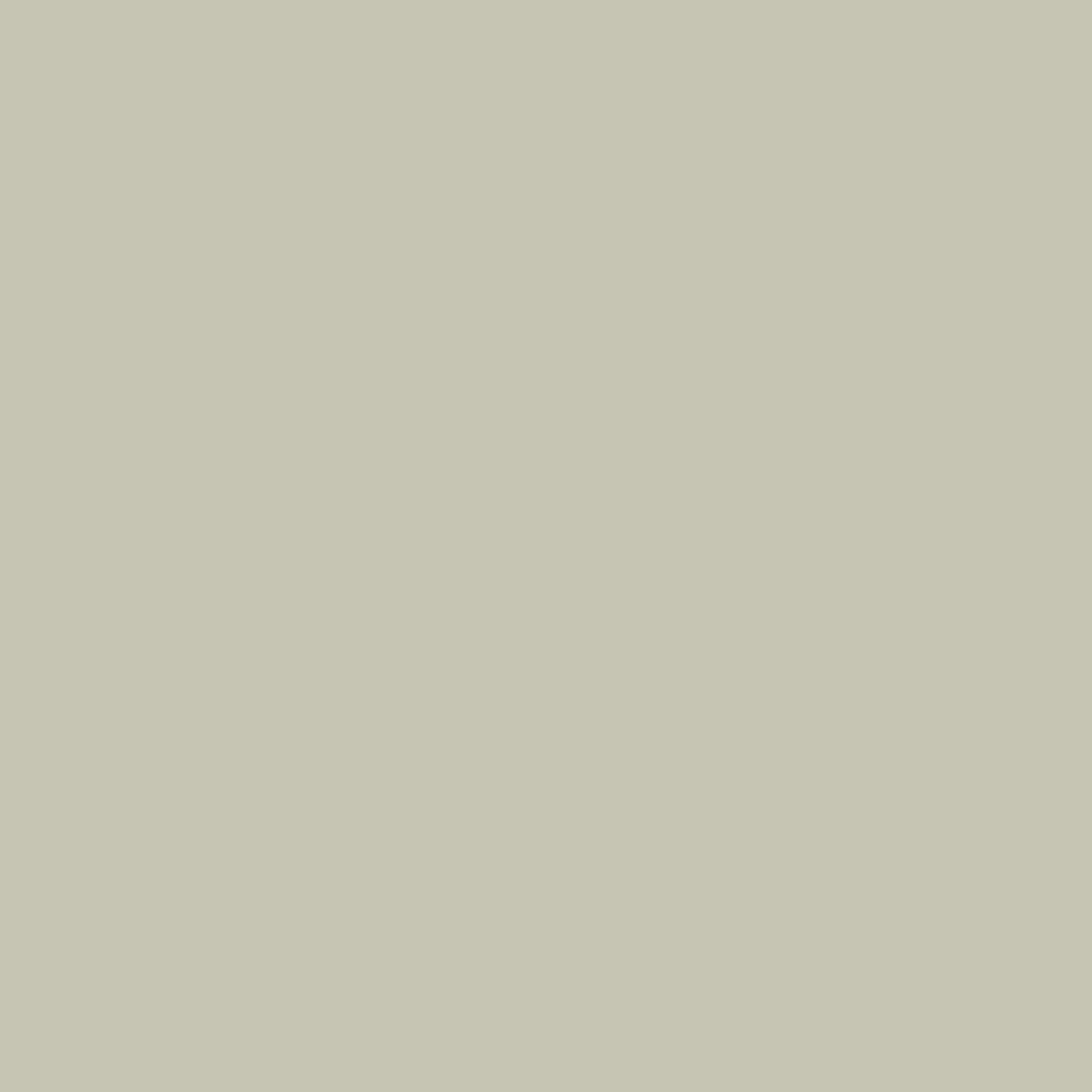 SPLASHBACK GLASS 745x595x6 SLV GREY