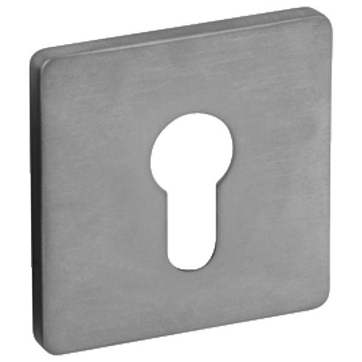 ESCUTCHEON 316 PRO 50x50x4 SSS