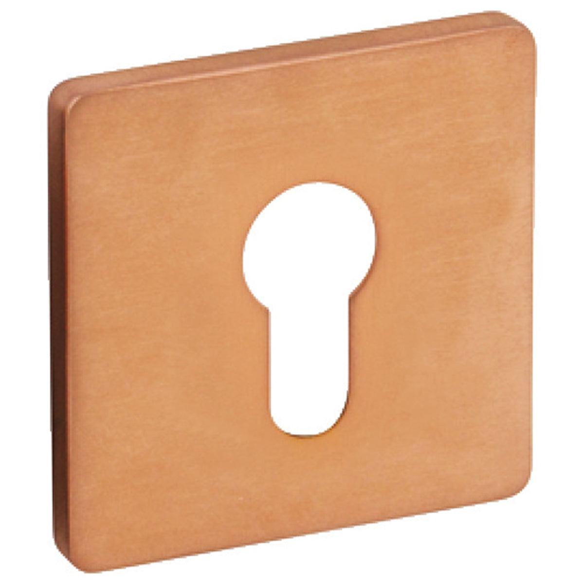 ESCUTCHEON 316 PRO 50x50x4 SCOP