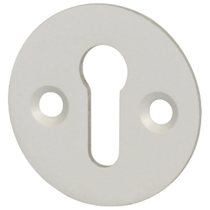 ESCUTCHEON PLAIN STD D33x1 SAA