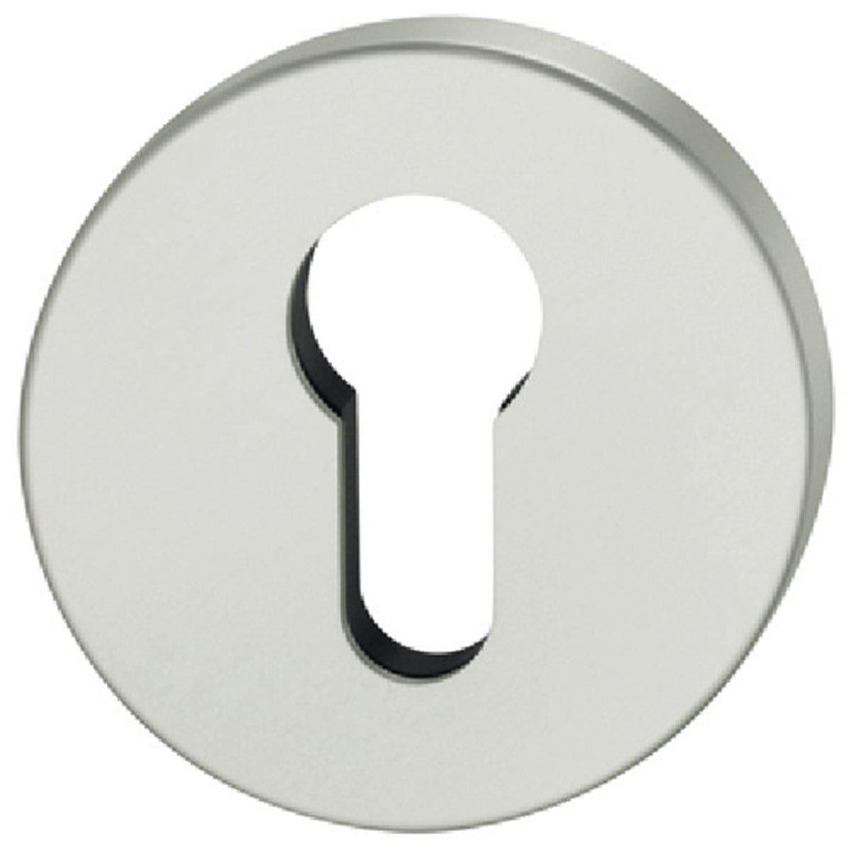 FSB ASL ESCUTCHEON PROF D55x7 SAA