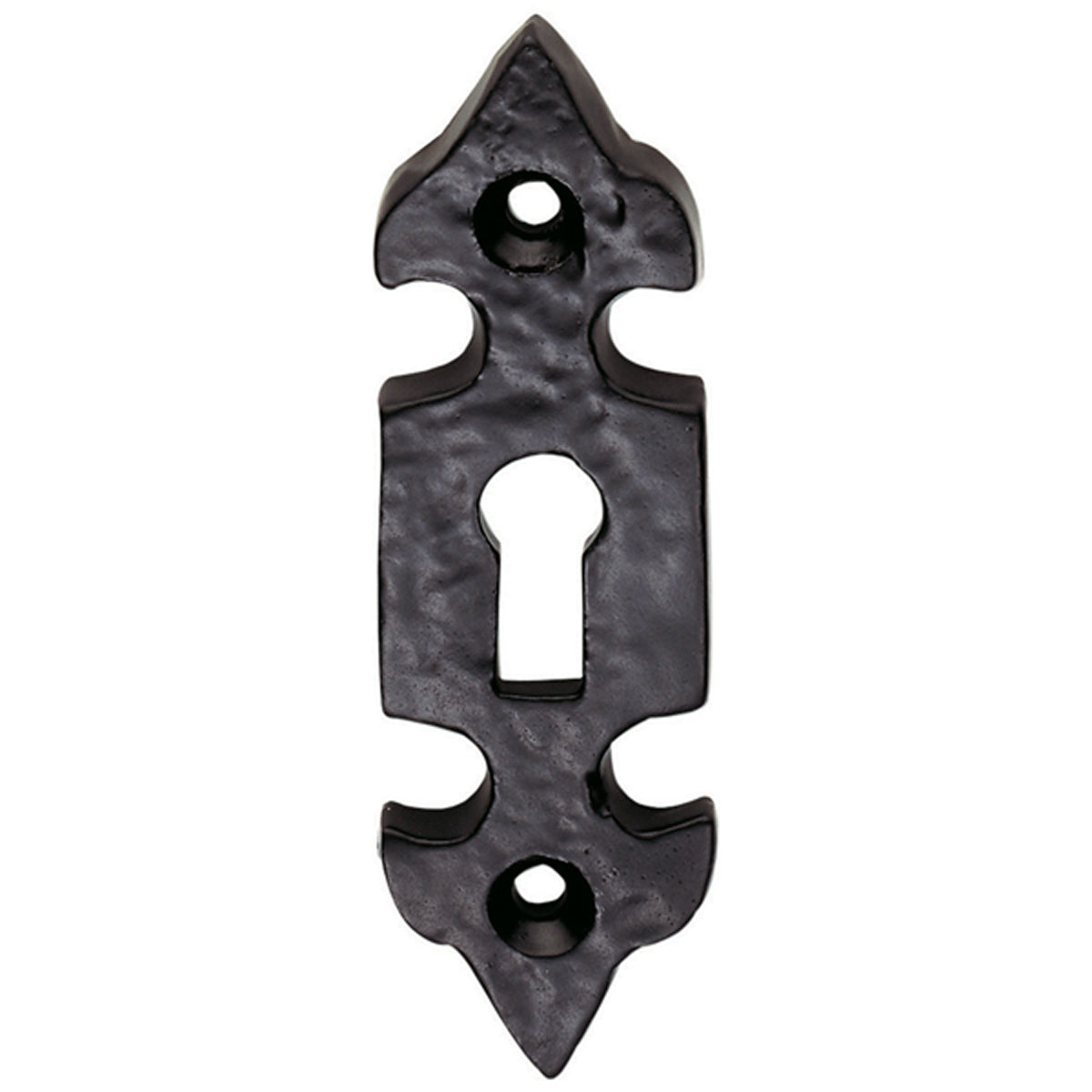BLACK FDL ESCUTCHEON 82x30 IR/BLK LF5532 by CARLISLE BRASS