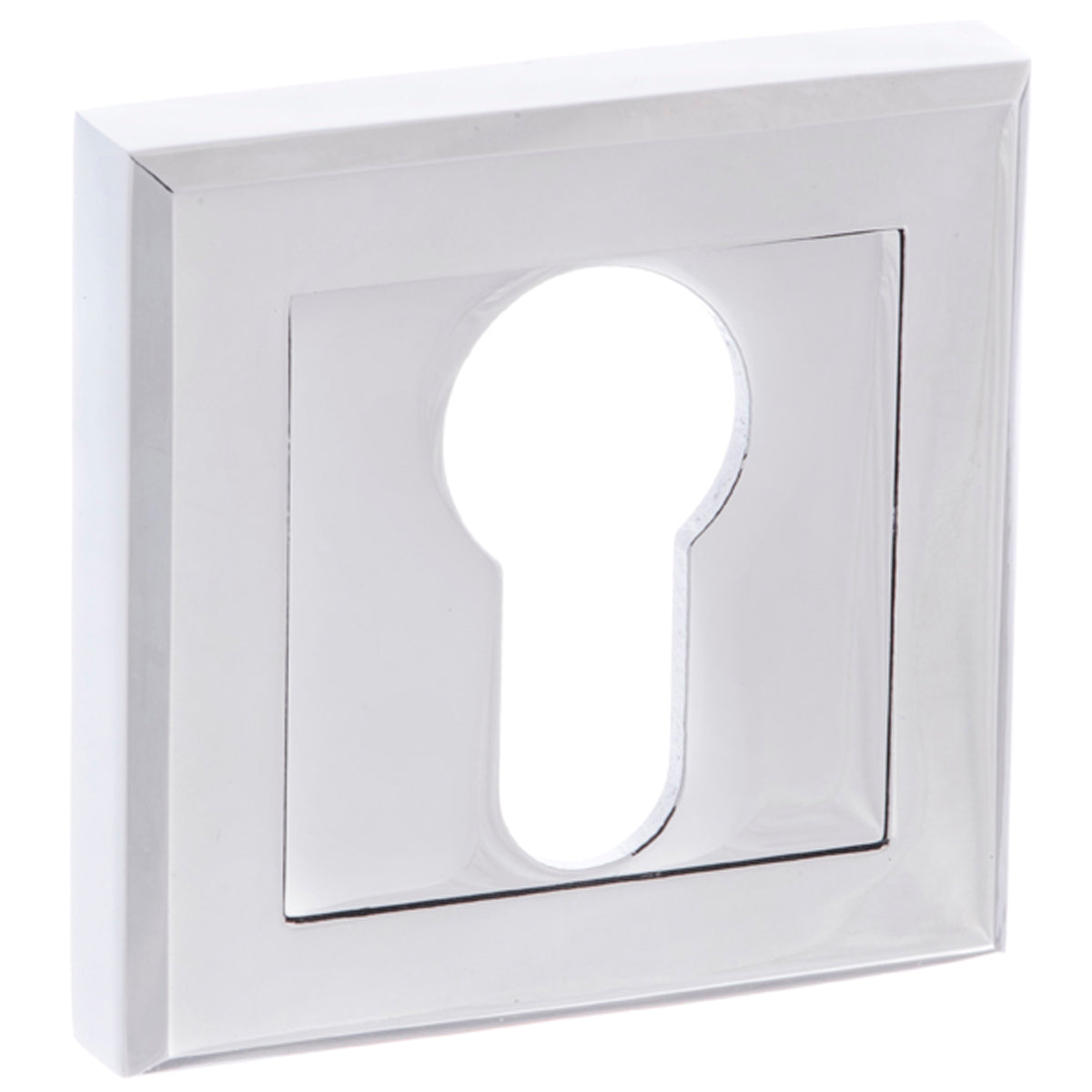 STATUS EURO ESCUTCHEON 51x10 PCP