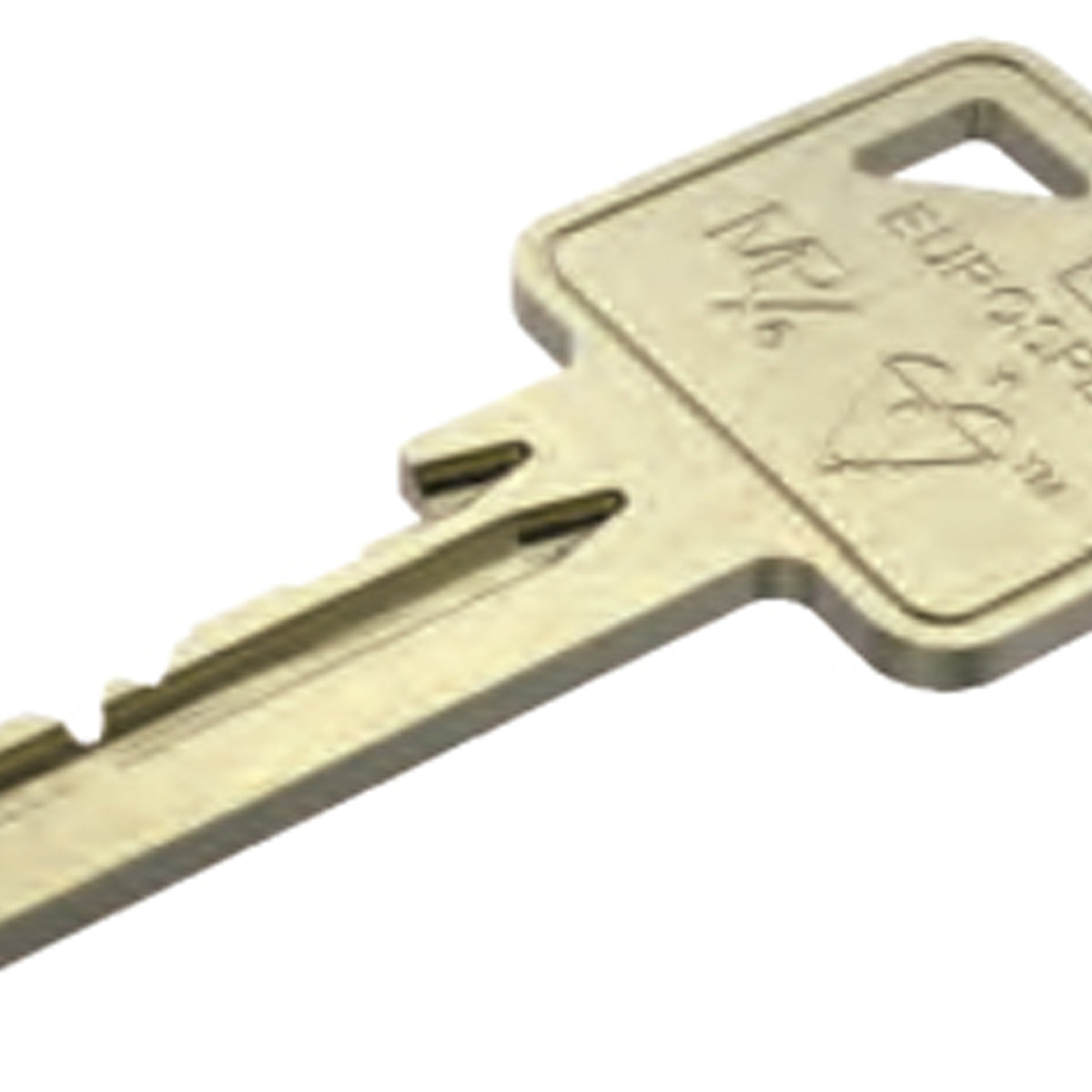 ESPEC 6PIN CYLINDER KEYBLANK CYZ78001NS by CARLISLE BRASS