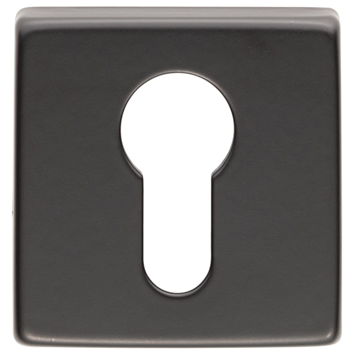 MANITAL EURO ESCUTCHEON 51x51 BLK QE001BLK by CARLISLE BRASS