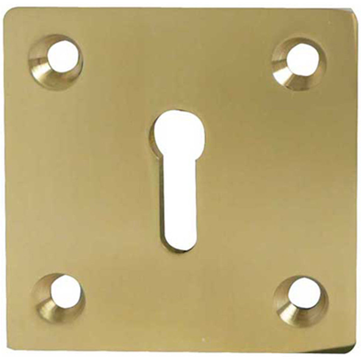 OPEN ESCUTCHEON 50x50 PBR