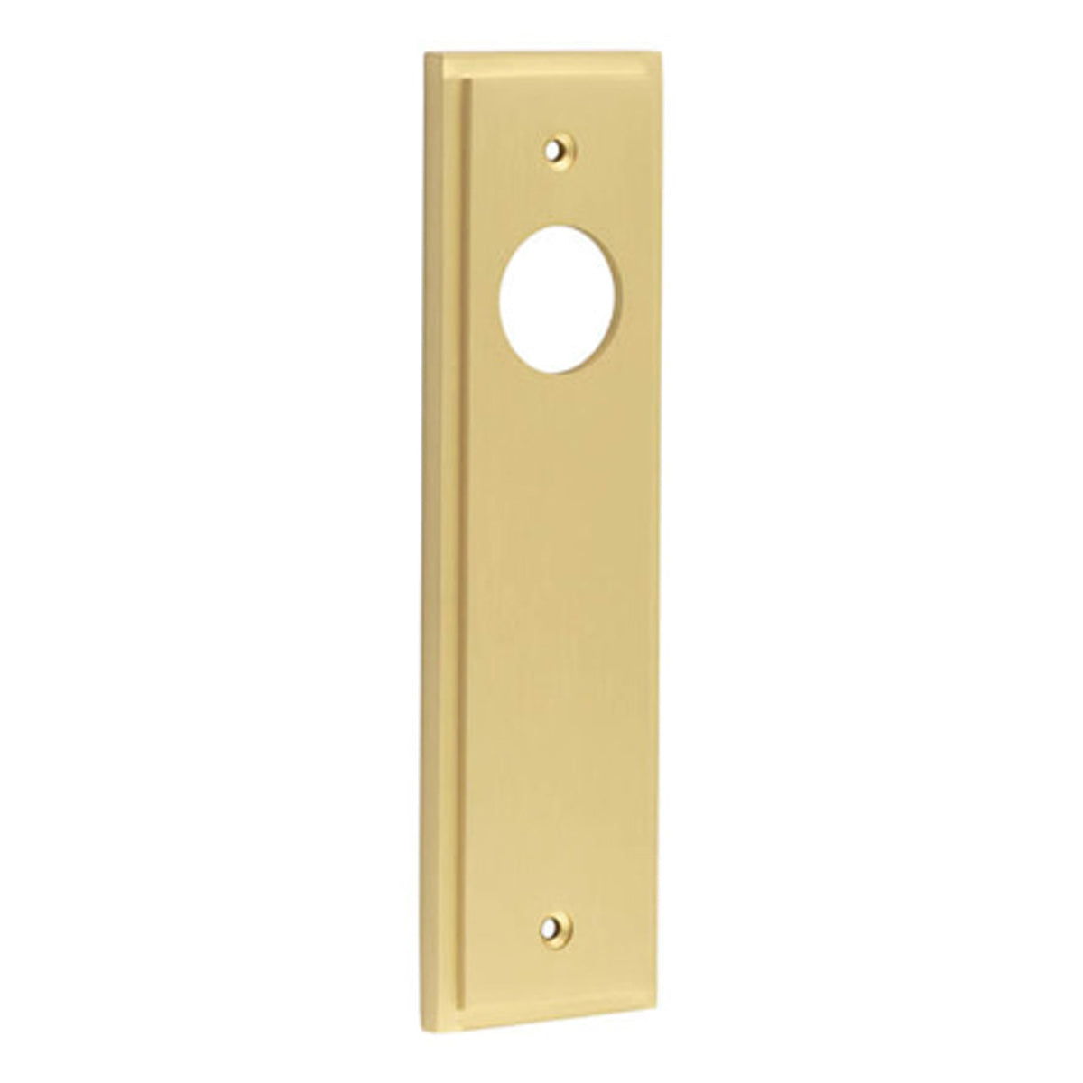 BURLINGTON II LEVER PLATE LATCH 200x55x10 SBR