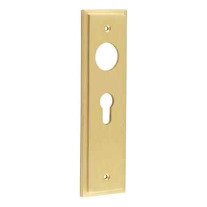 BURLINGTON II LEVER PLATE EURO 47.5CC 200x55x10 SBR