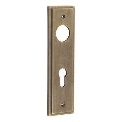 BURLINGTON II LEVER PLATE DIN EURO 72CC 200x55x10 ABR