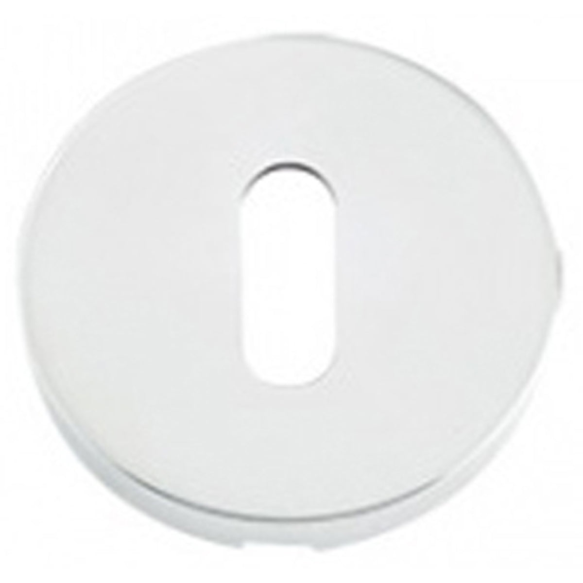 ZCS ESCUTCHEON D52.0 STD 304PS