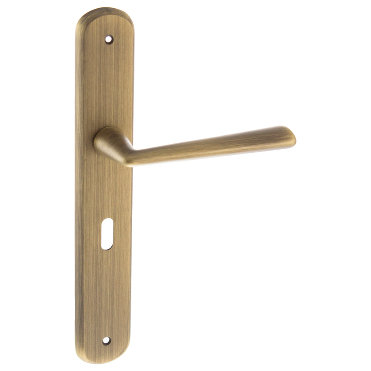 FORME BRIGITTE SOLID LEVER HANDLE KEY 246x120x40 BRS/YBZ