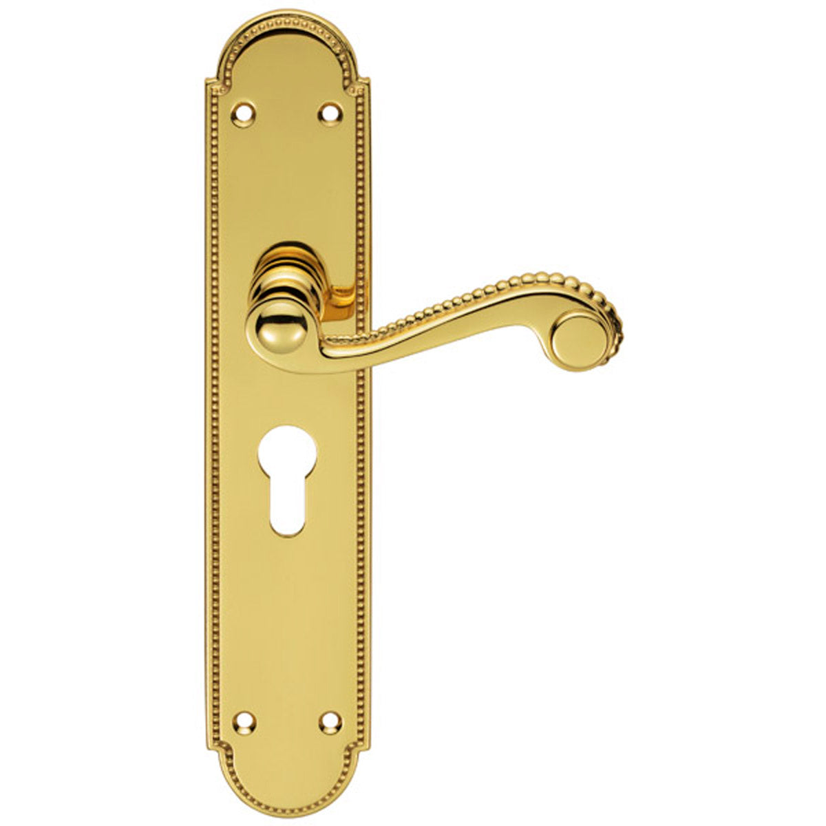 CHESHAM LEVER HANDLE EURO47.5 250x50 PBR DL271Y by CARLISLE BRASS