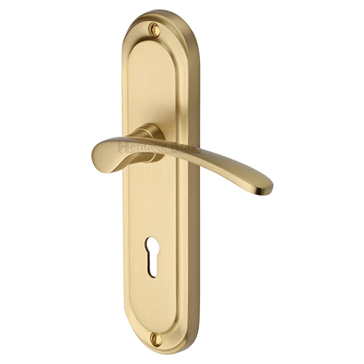 AMBASS HANDLE LOCK 48x189 SBR