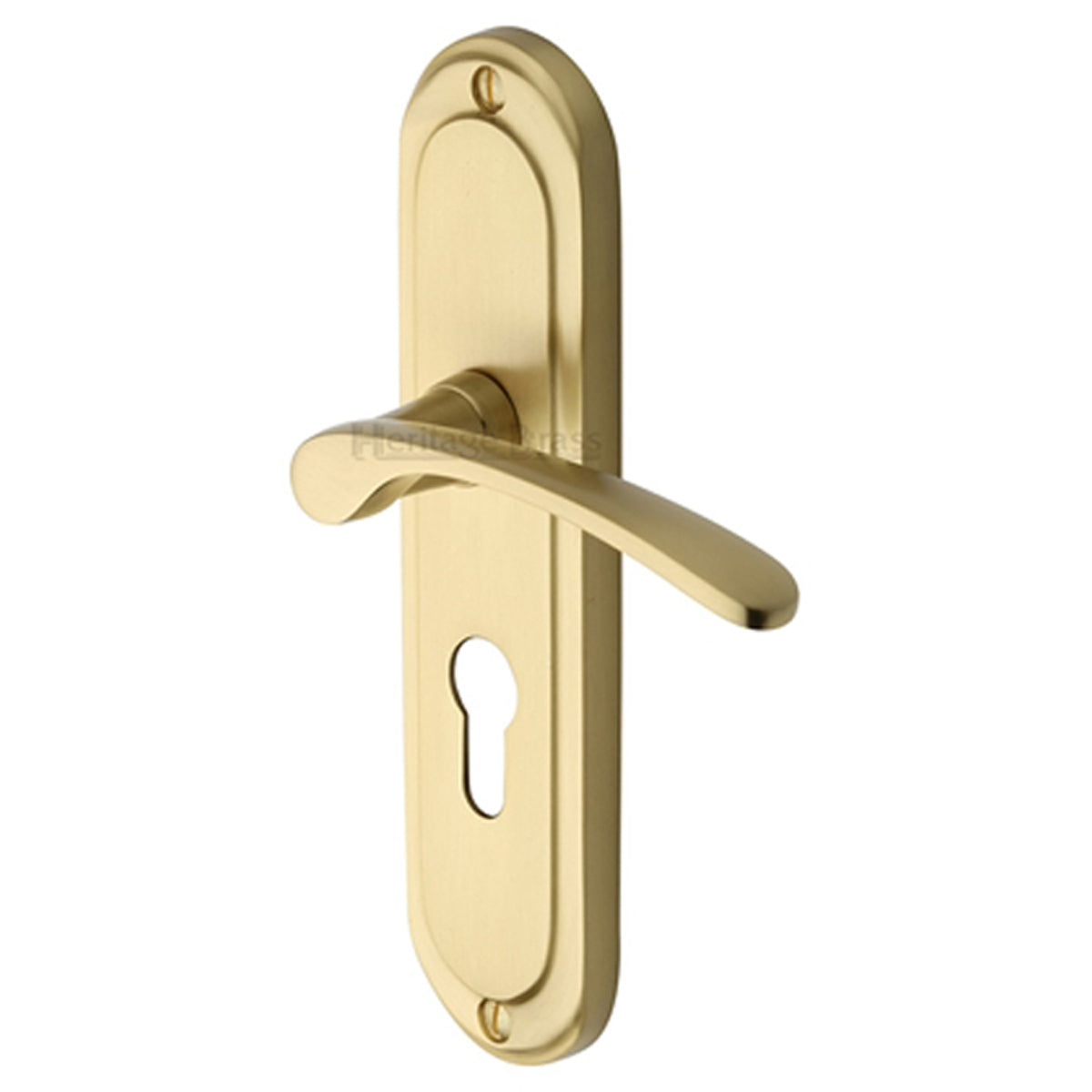 AMBASS HANDLE EURO 48x189 SBR