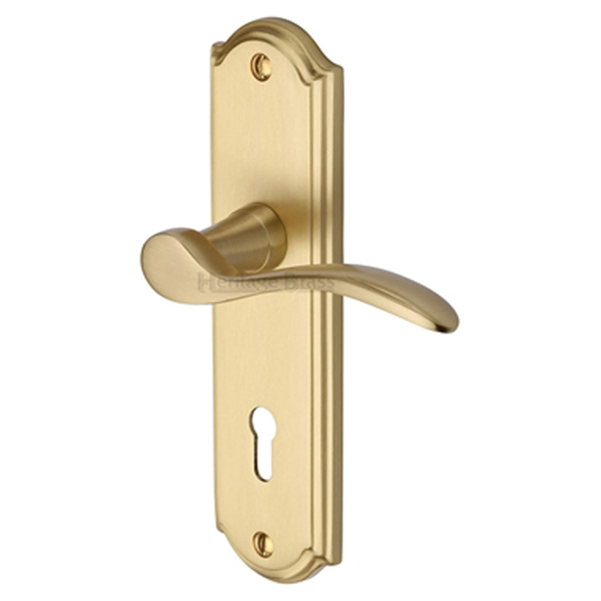 HOWARD HANDLE LOCK 48x170 SBR – DHM110C1