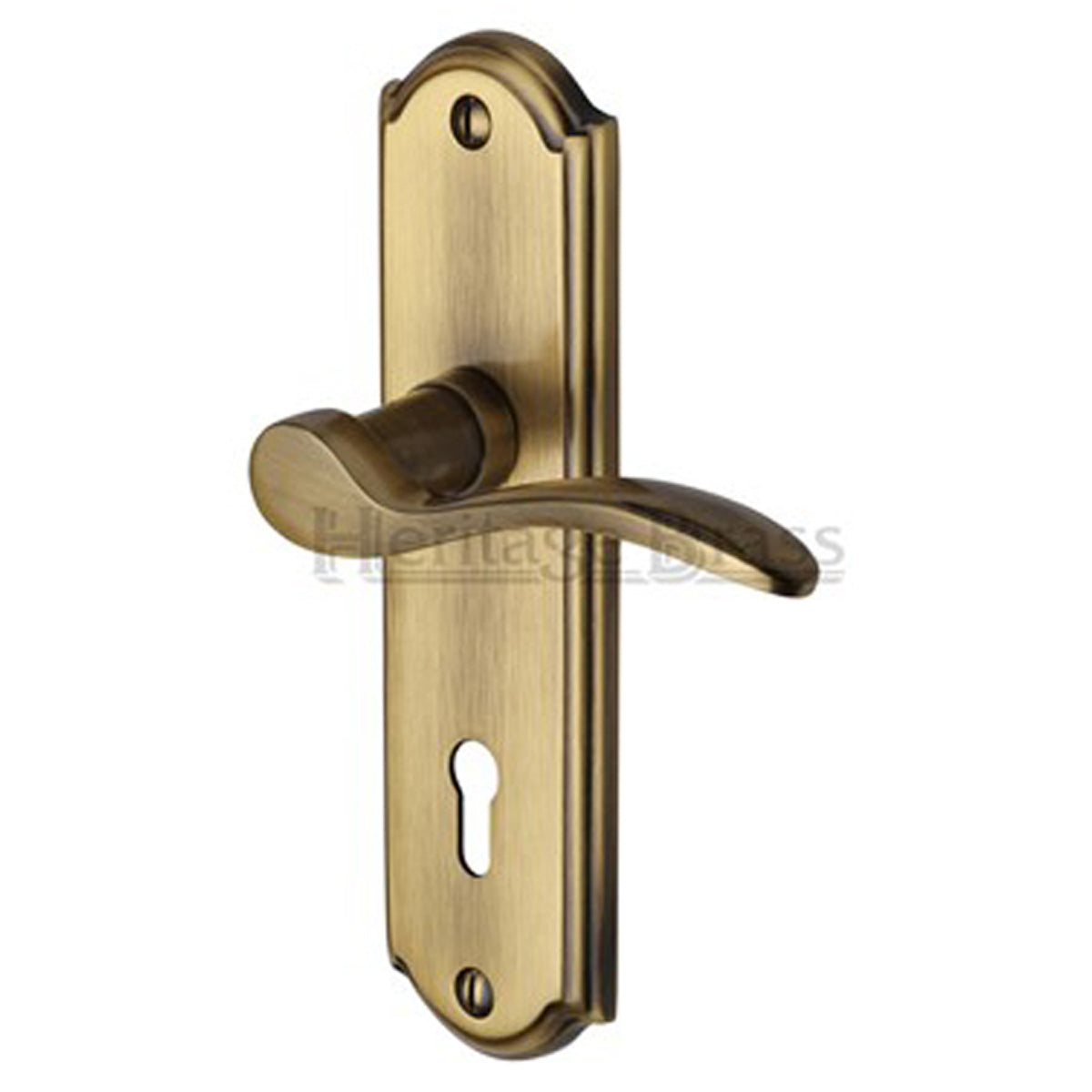 HOWARD HANDLE LOCK 48x170 ABR