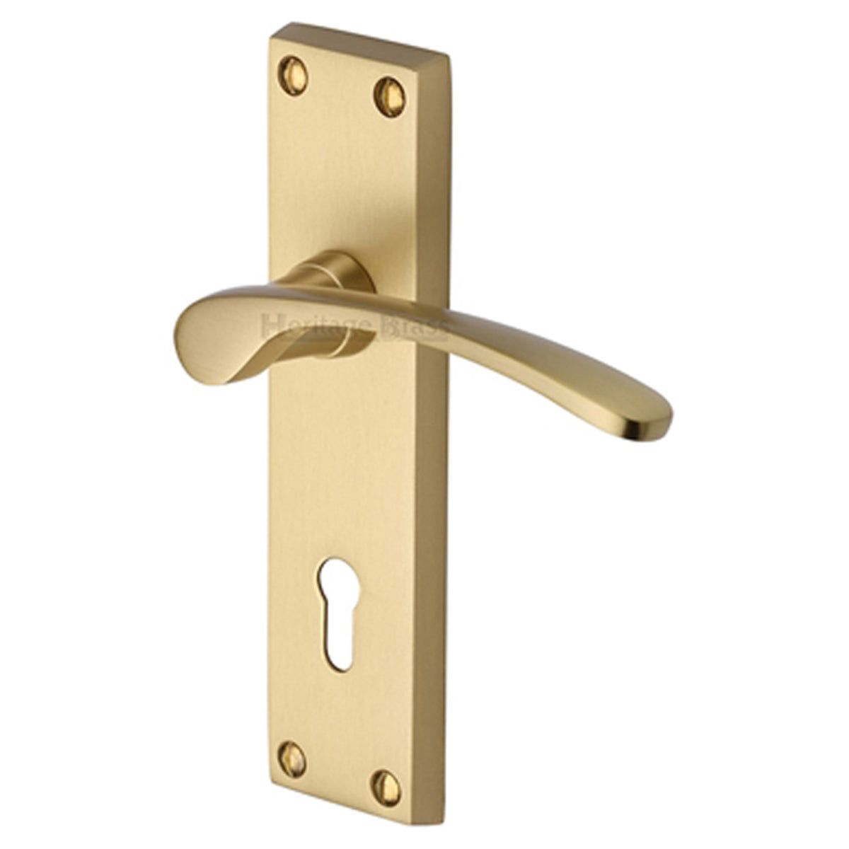 SOPHIA HANDLE LOCK 40x154 SBR
