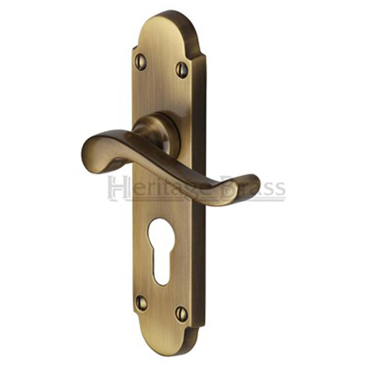 SAVOY HANDLE EURO 42x171 ABR