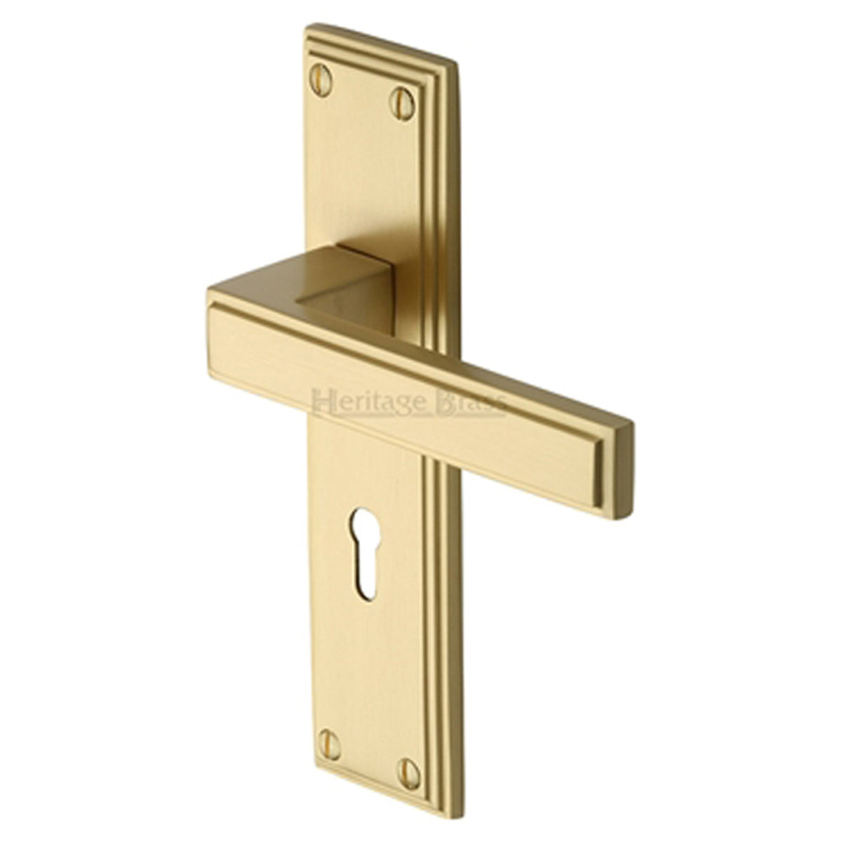 ATLANTIS HANDLE LOCK 48x185 SBR