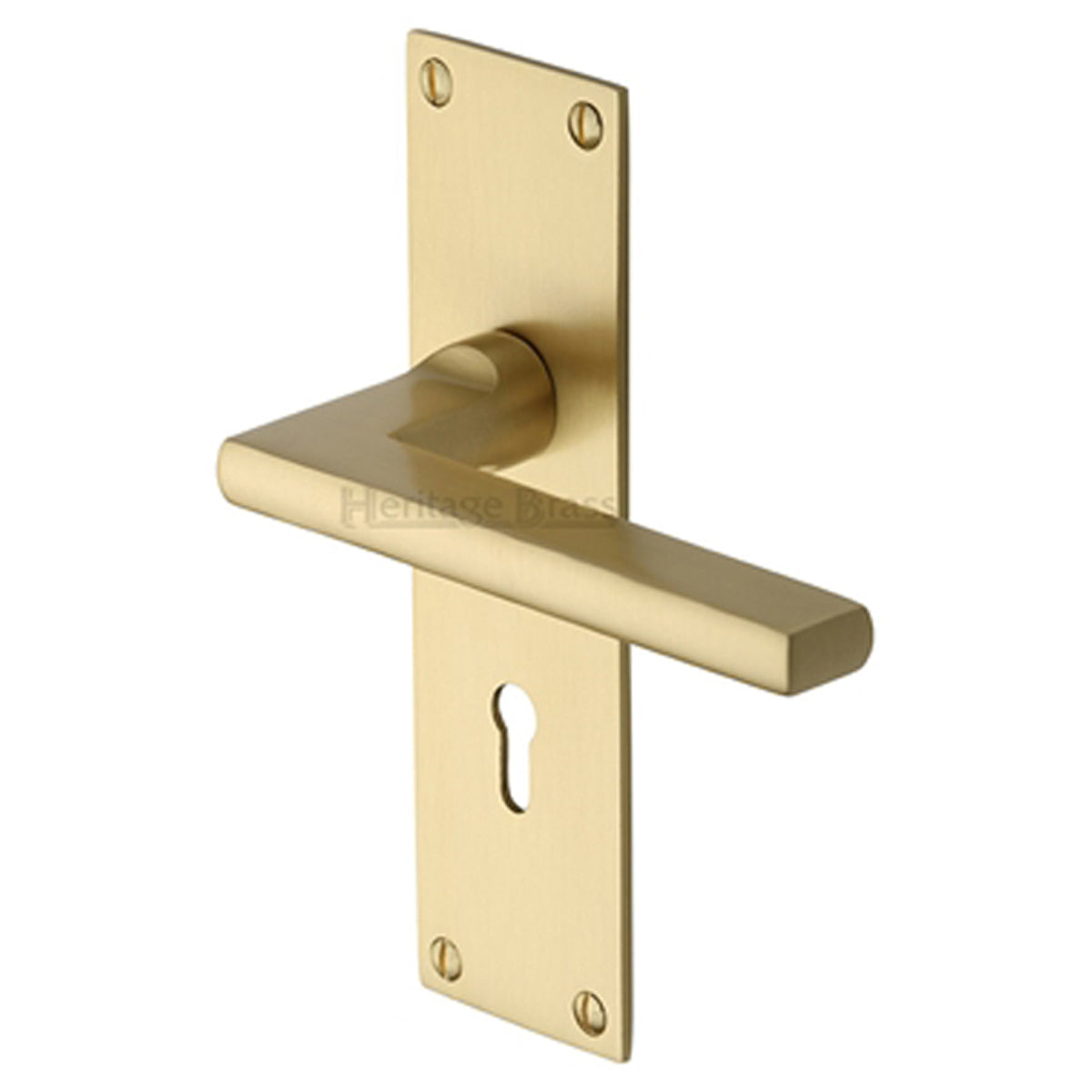 TRIDENT LOW HANDLE LOCK 50x170 SBR