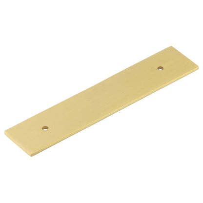 FANSHAW BACKPLATE 096HC 140x30x2.5 SBR