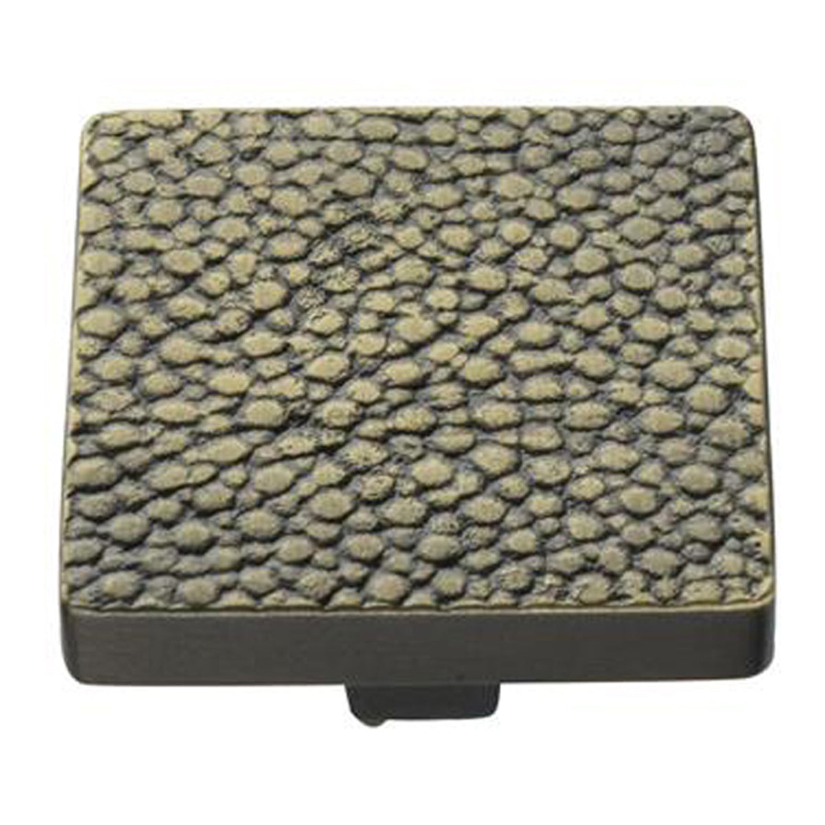 FOSSIL STINGRAY KNOB 38x38 AGB