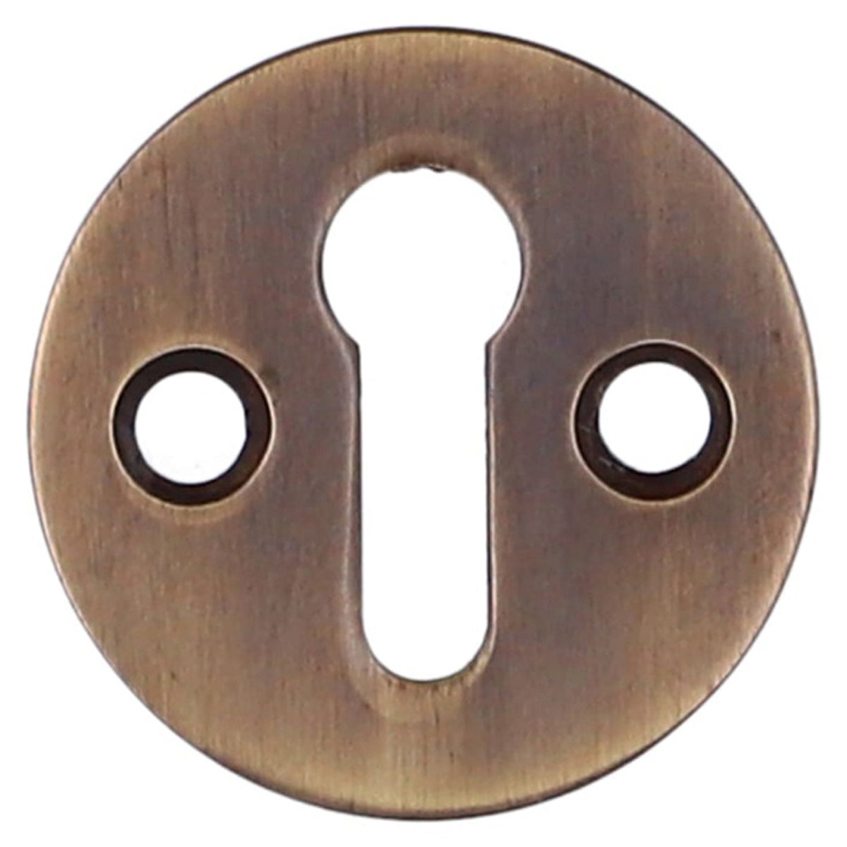 AW STD ESCUTCHEON VICTORIAN D32 ABZ AW399ABZ by CARLISLE BRASS