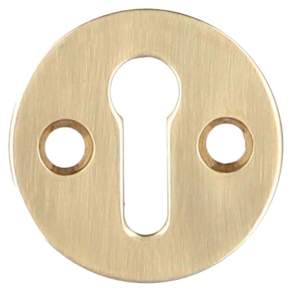 AW STD ESCUTCHEON VICTORIAN D32 PBR AW399PBL by CARLISLE BRASS