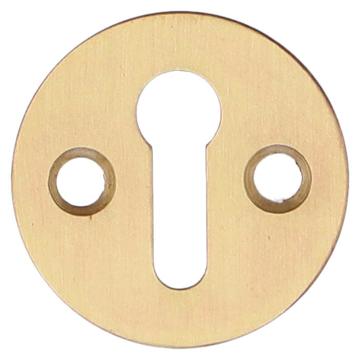AW STD ESCUTCHEON VICTORIAN D32 SBR AW399SB by CARLISLE BRASS