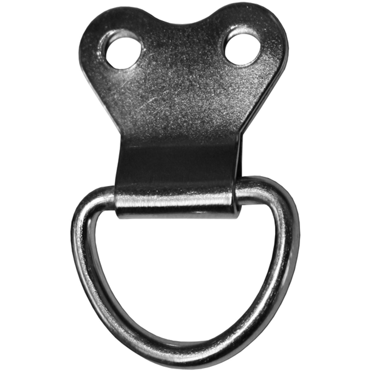PICTURE D RING 2HOLE NP