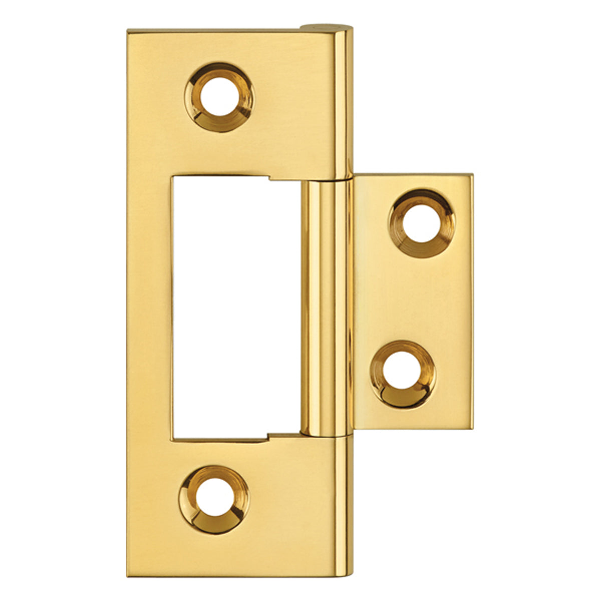 UNWASH FLUSH HINGE 51x22 BRS/PLB
