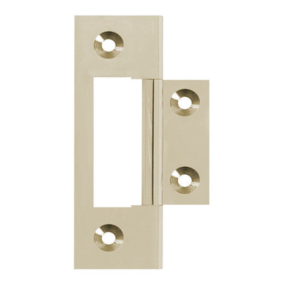 UNWASH FLUSH HINGE 64x22 BRS/BNP