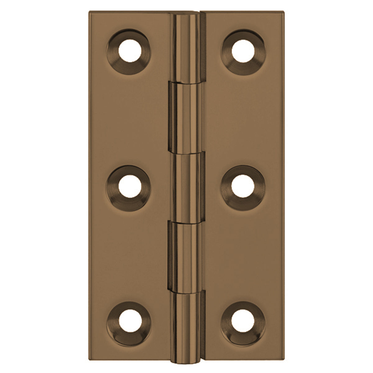 DPBW BUTT HINGE 100x65 BRS/ABR