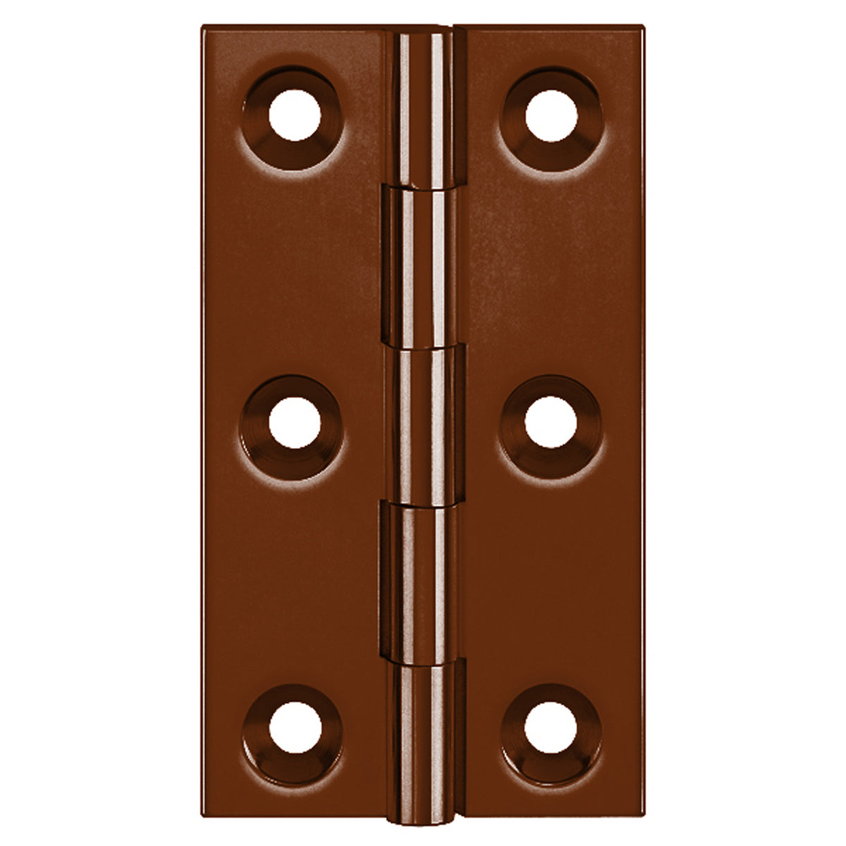 DPBW BUTT HINGE 100x65 BRS/BMA