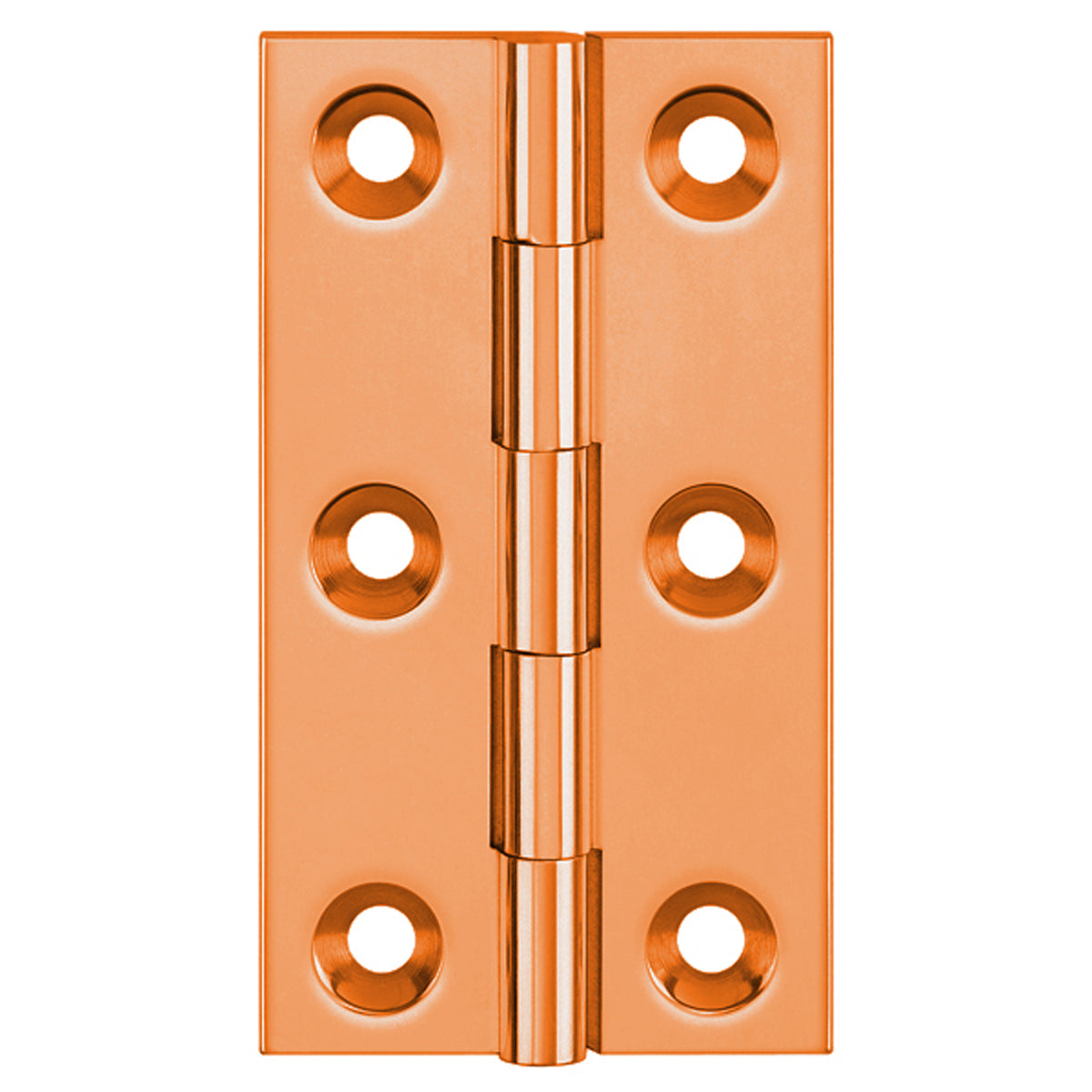 DPBW BUTT HINGE 100x65 BRS/CBZ