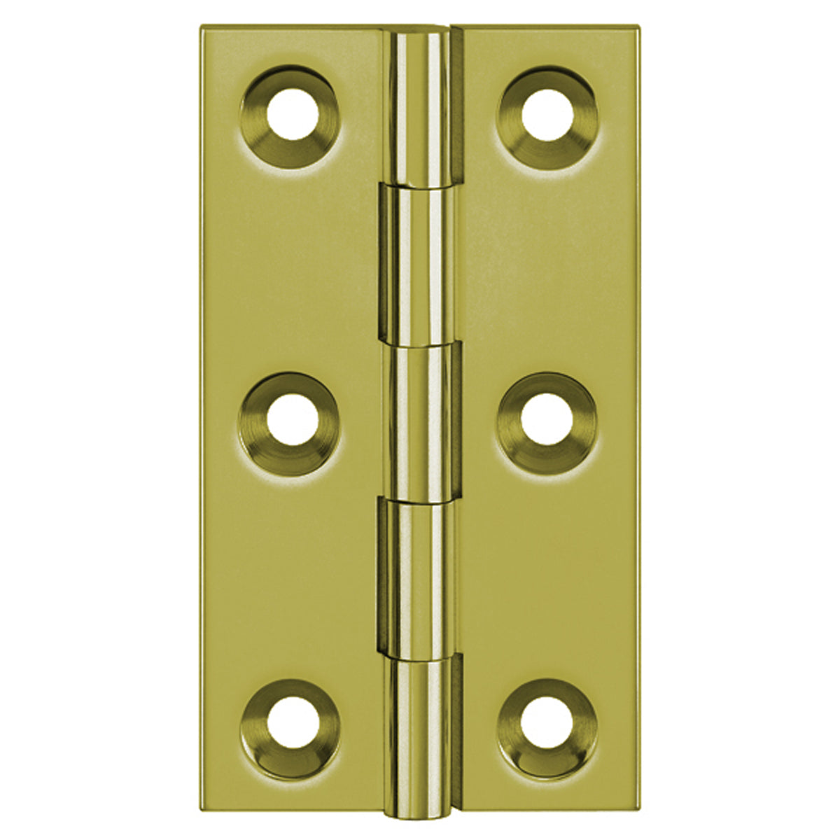 DPBW BUTT HINGE 100x65 BRS/SLF