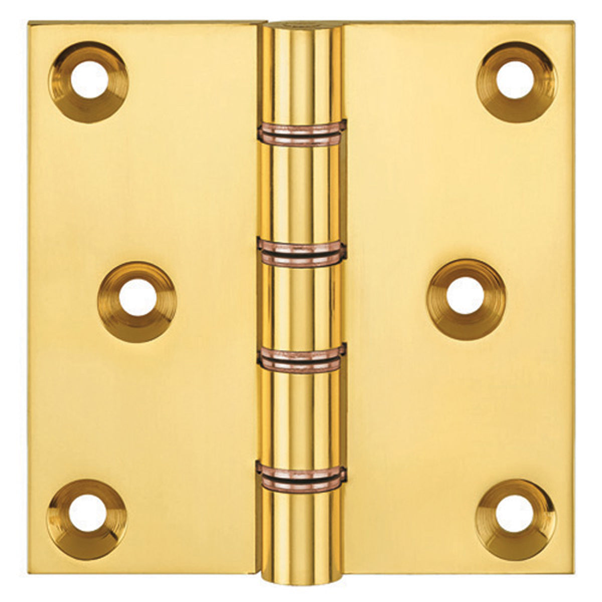 DPBW PROJ HINGE 076x075 BRS/PLB