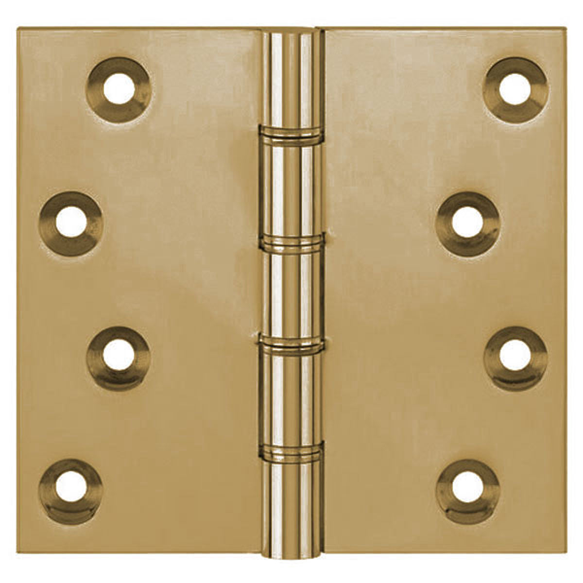 DPBW PROJ HINGE 100x100 BRS/AGB