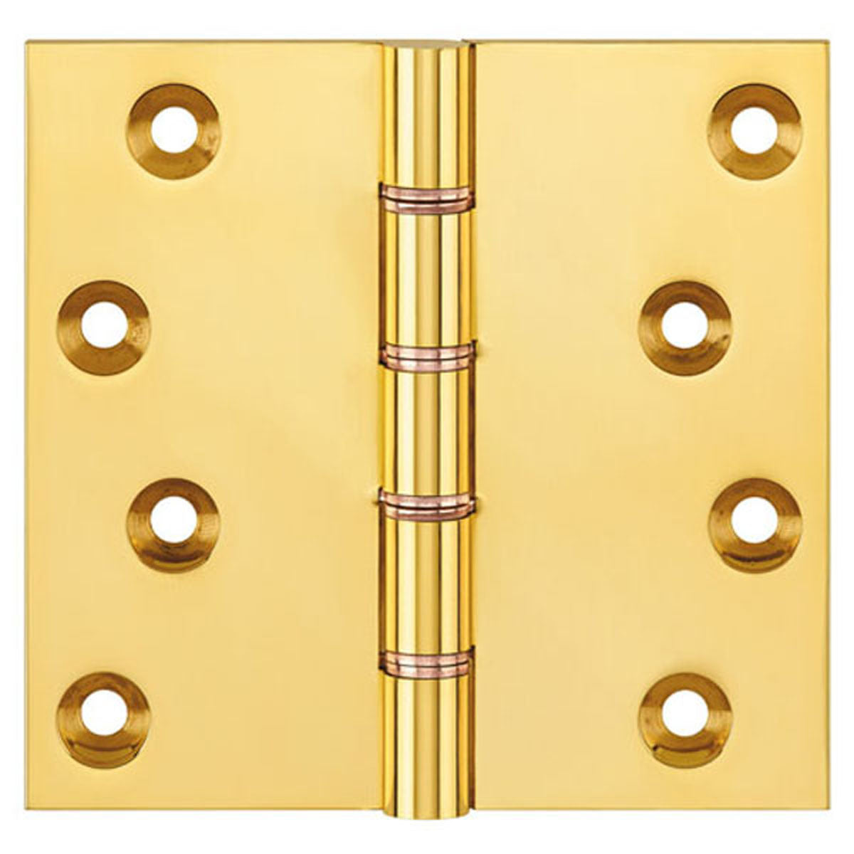 DPBW PROJ HINGE 100x100 BRS/PLB