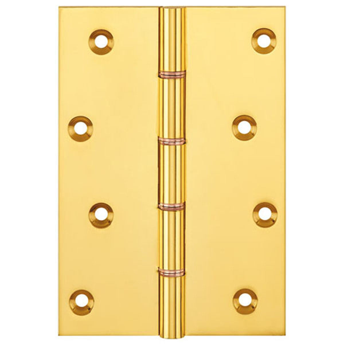 DPBW PROJ HINGE 152x100 BRS/PLB