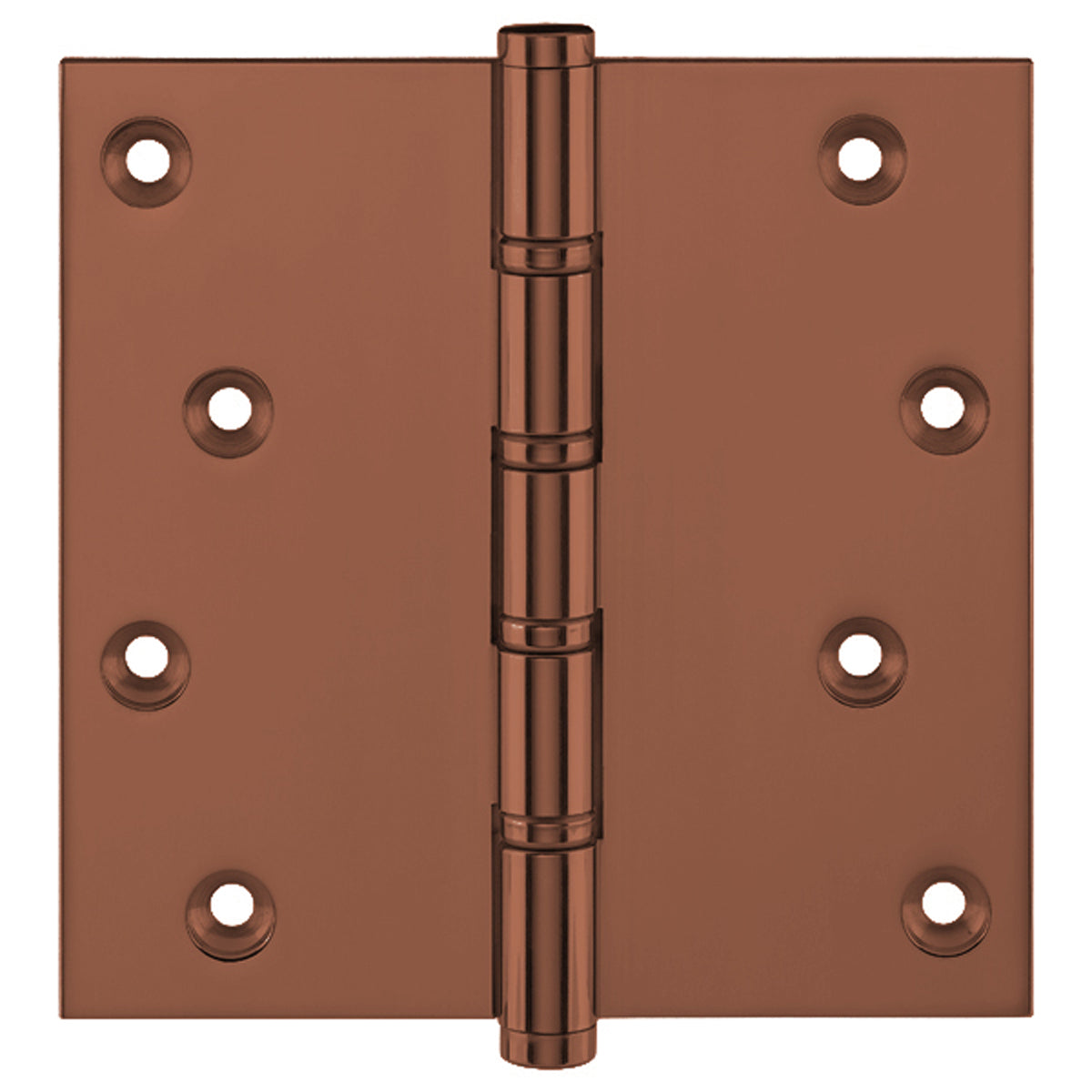 BALL RACE PHINGE 127x125 BRS/CBZ