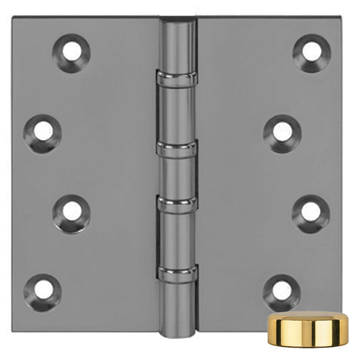 BALL RACE FPHINGE 100x100 BTP/BCP