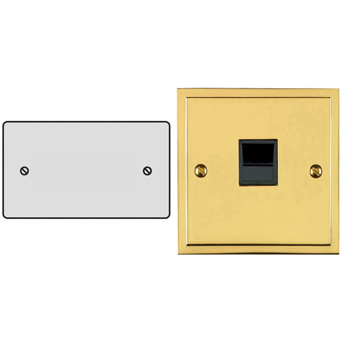 ESP BLANKING PLATE DBL PBR – LFM484B